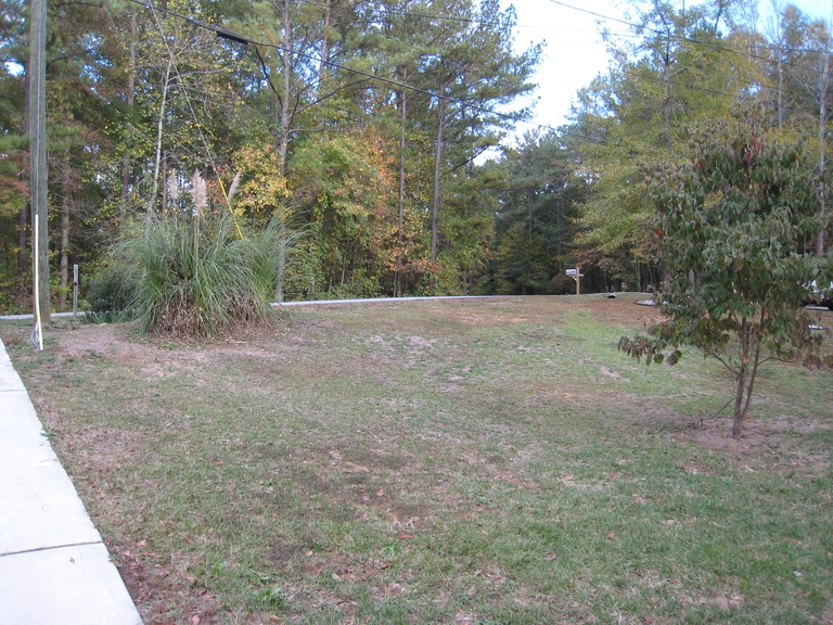 Front yard
